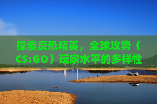探索反恐精英，全球攻势（CS:GO）玩家水平的多样性,csgo相当于什么水平