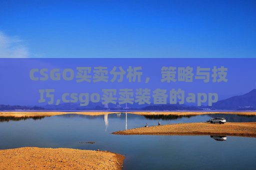 CSGO买卖分析，策略与技巧,csgo买卖装备的app