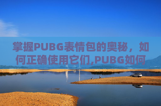 掌握PUBG表情包的奥秘，如何正确使用它们,PUBG如何用表情