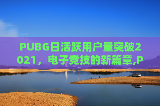 PUBG日活跃用户量突破2021，电子竞技的新篇章,PUBG日活最高