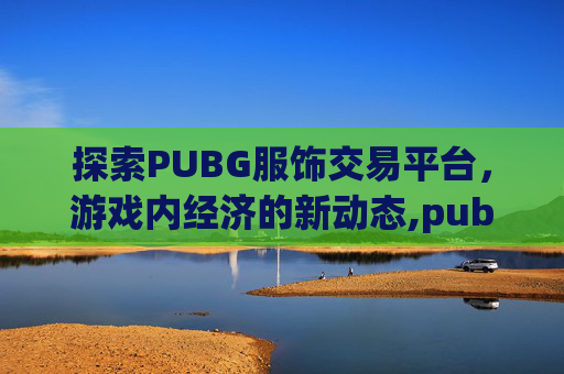 探索PUBG服饰交易平台，游戏内经济的新动态,pubg饰品交易平台app
