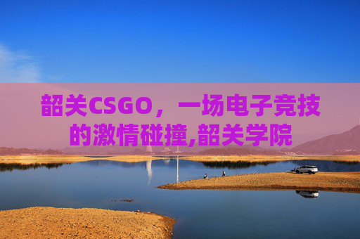 韶关CSGO，一场电子竞技的激情碰撞,韶关学院