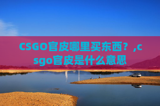 CSGO官皮哪里买东西？,csgo官皮是什么意思