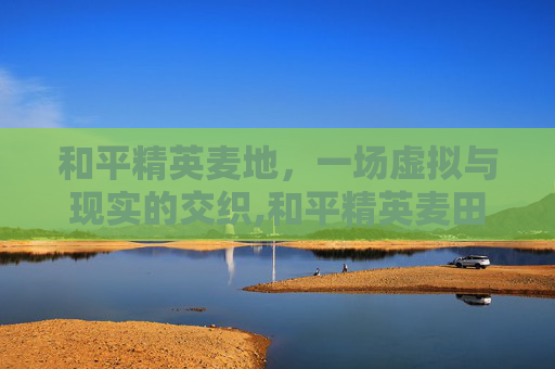 和平精英麦地，一场虚拟与现实的交织,和平精英麦田地