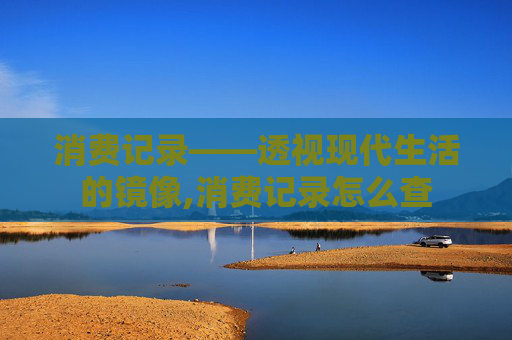消费记录——透视现代生活的镜像,消费记录怎么查