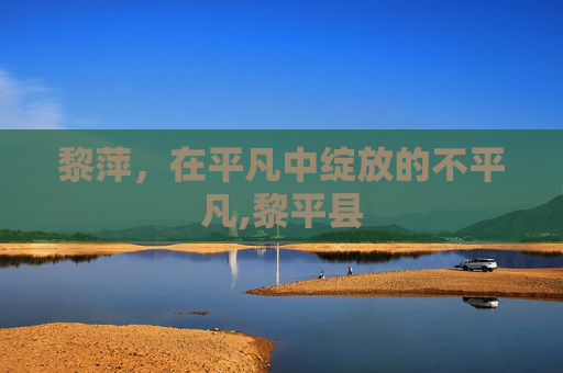 黎萍，在平凡中绽放的不平凡,黎平县