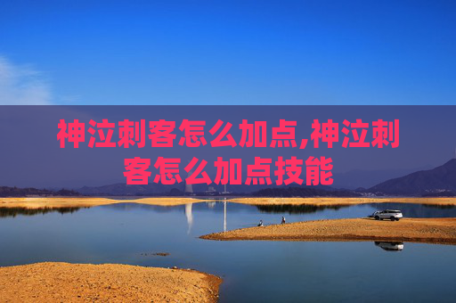 神泣刺客怎么加点,神泣刺客怎么加点技能