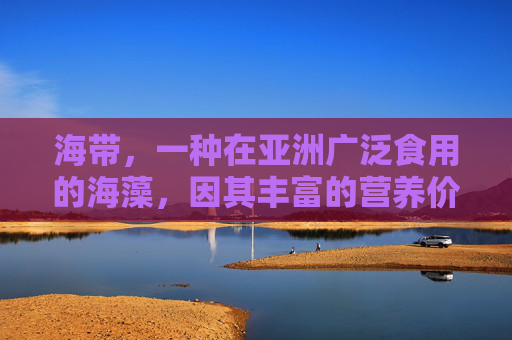 海带，一种在亚洲广泛食用的海藻，因其丰富的营养价值而受到人们的喜爱。它不仅味道鲜美，还具有多种对人体有益的营养成分。本文将探讨海带可以补充哪些营养素，以及如何在日常饮食中合理利用海带来促进健康。,海带补什么功效与作用