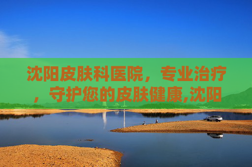 沈阳皮肤科医院，专业治疗，守护您的皮肤健康,沈阳皮肤科医院哪个好