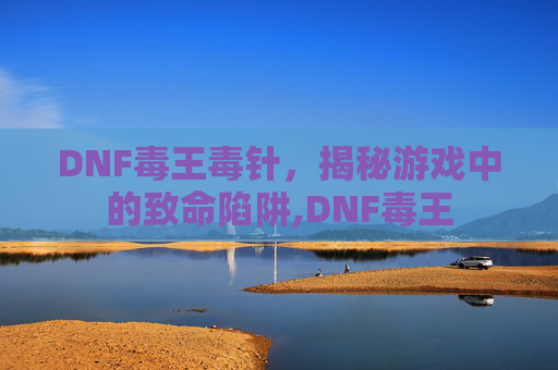 DNF毒王毒针，揭秘游戏中的致命陷阱,DNF毒王