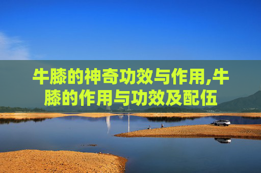 牛膝的神奇功效与作用,牛膝的作用与功效及配伍