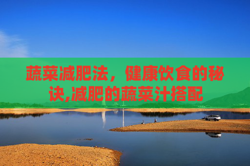 蔬菜减肥法，健康饮食的秘诀,减肥的蔬菜汁搭配