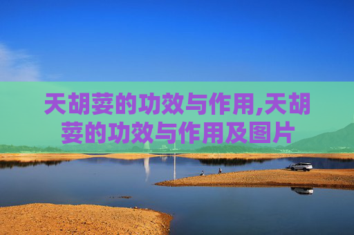 天胡荽的功效与作用,天胡荽的功效与作用及图片