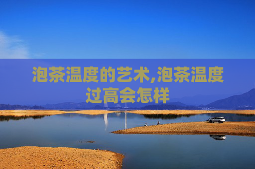 泡茶温度的艺术,泡茶温度过高会怎样