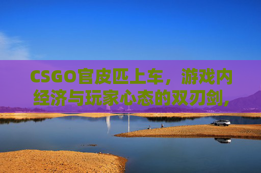 CSGO官皮匹上车，游戏内经济与玩家心态的双刃剑,CSGO皮肤