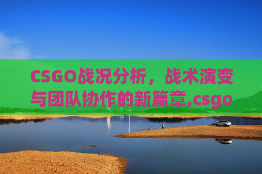 CSGO战况分析，战术演变与团队协作的新篇章,csgo战况最新消息今天