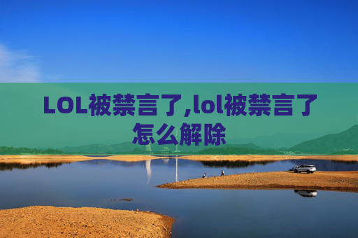 LOL被禁言了,lol被禁言了怎么解除