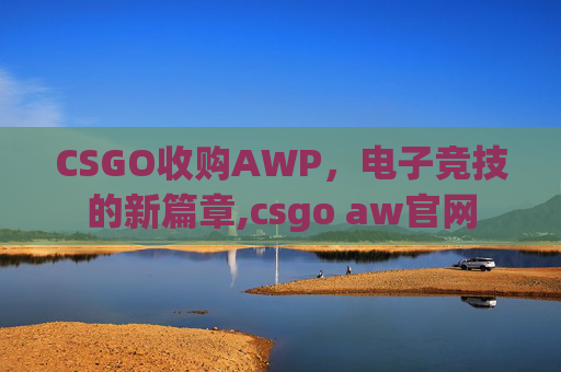 CSGO收购AWP，电子竞技的新篇章,csgo aw官网