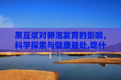 黑豆浆对卵泡发育的影响，科学探索与健康益处,吃什么可以让卵泡长得快