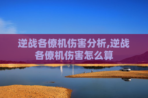 逆战各僚机伤害分析,逆战各僚机伤害怎么算