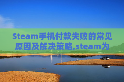 Steam手机付款失败的常见原因及解决策略,steam为什么付不了款