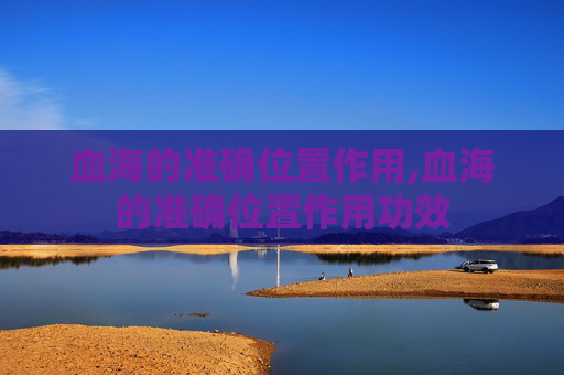 血海的准确位置作用,血海的准确位置作用功效