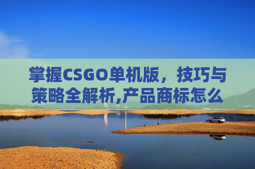 掌握CSGO单机版，技巧与策略全解析,产品商标怎么查