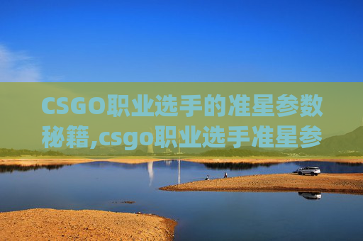CSGO职业选手的准星参数秘籍,csgo职业选手准星参数代码国服