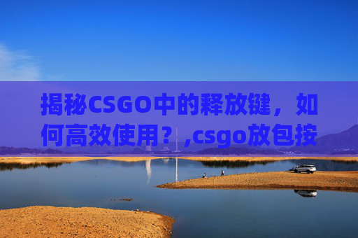 揭秘CSGO中的释放键，如何高效使用？,csgo放包按键