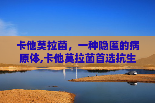 卡他莫拉菌，一种隐匿的病原体,卡他莫拉菌首选抗生素