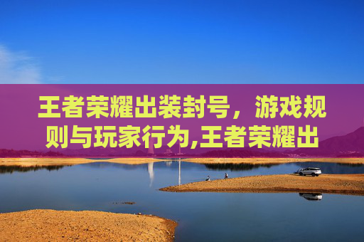 王者荣耀出装封号，游戏规则与玩家行为,王者荣耀出装封号怎么解除