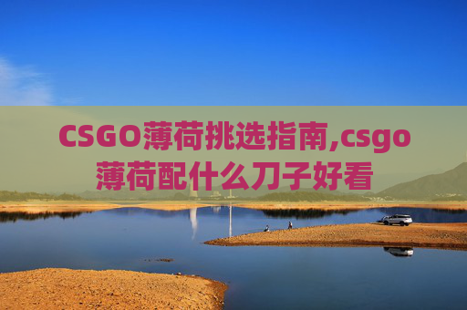 CSGO薄荷挑选指南,csgo薄荷配什么刀子好看