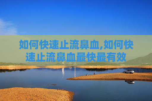 如何快速止流鼻血,如何快速止流鼻血最快最有效