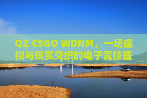 QZ CSGO WDNM，一场虚拟与现实交织的电子竞技盛宴