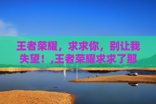 王者荣耀，求求你，别让我失望！,王者荣耀求求了那个表情