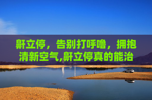 鼾立停，告别打呼噜，拥抱清新空气,鼾立停真的能治疗打呼噜吗