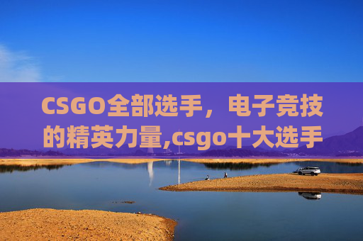CSGO全部选手，电子竞技的精英力量,csgo十大选手