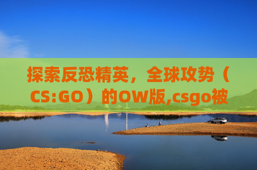 探索反恐精英，全球攻势（CS:GO）的OW版,csgo被ow可能解封吗