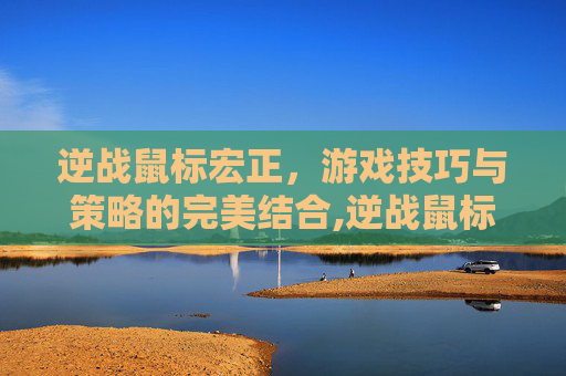 逆战鼠标宏正，游戏技巧与策略的完美结合,逆战鼠标宏为什么会动