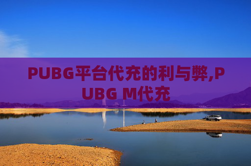 PUBG平台代充的利与弊,PUBG M代充