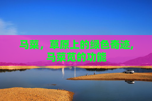 马菜，草原上的绿色奇迹,马菜苋的功能