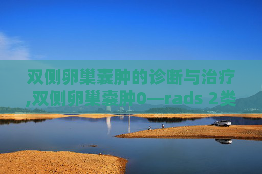 双侧卵巢囊肿的诊断与治疗,双侧卵巢囊肿0—rads 2类