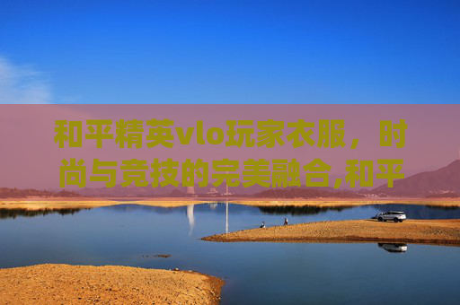 和平精英vlo玩家衣服，时尚与竞技的完美融合,和平精英pel衣服