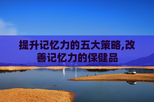 提升记忆力的五大策略,改善记忆力的保健品
