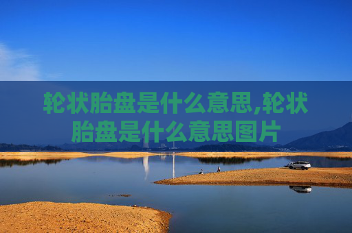轮状胎盘是什么意思,轮状胎盘是什么意思图片
