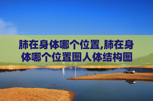 肺在身体哪个位置,肺在身体哪个位置图人体结构图