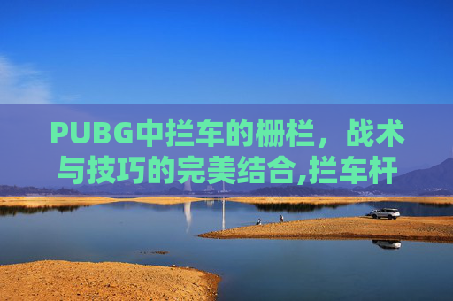 PUBG中拦车的栅栏，战术与技巧的完美结合,拦车杆栅栏式升降杆