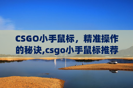CSGO小手鼠标，精准操作的秘诀,csgo小手鼠标推荐
