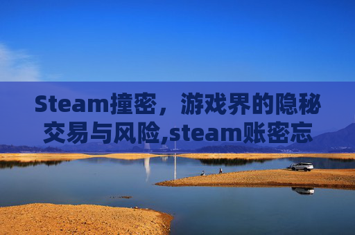 Steam撞密，游戏界的隐秘交易与风险,steam账密忘了怎么办