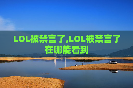 LOL被禁言了,LOL被禁言了在哪能看到